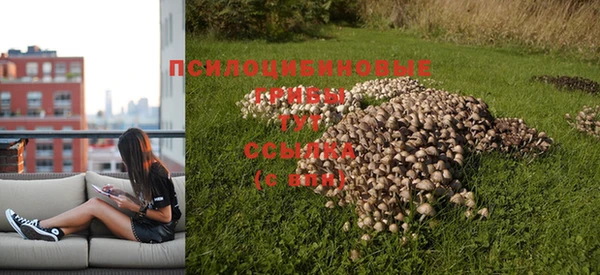 гидра Няндома