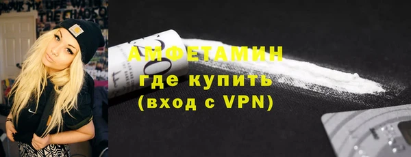 гидра Няндома
