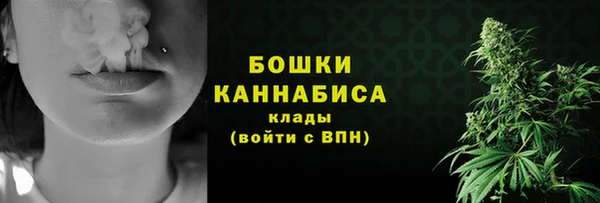 гидра Няндома