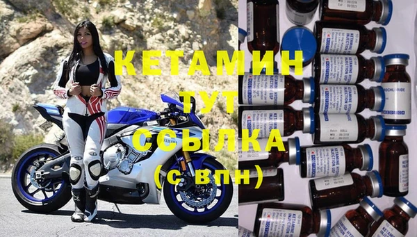 гидра Няндома