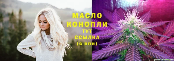 гидра Няндома