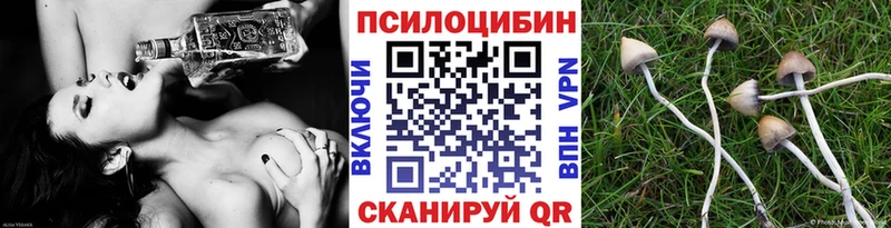 блэк спрут рабочий сайт  Чулым  Псилоцибиновые грибы Magic Shrooms  хочу наркоту 